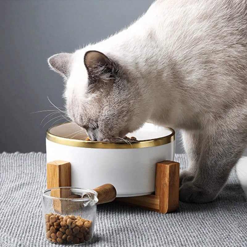 Керамика питатели для собак миски поилки изображения животных