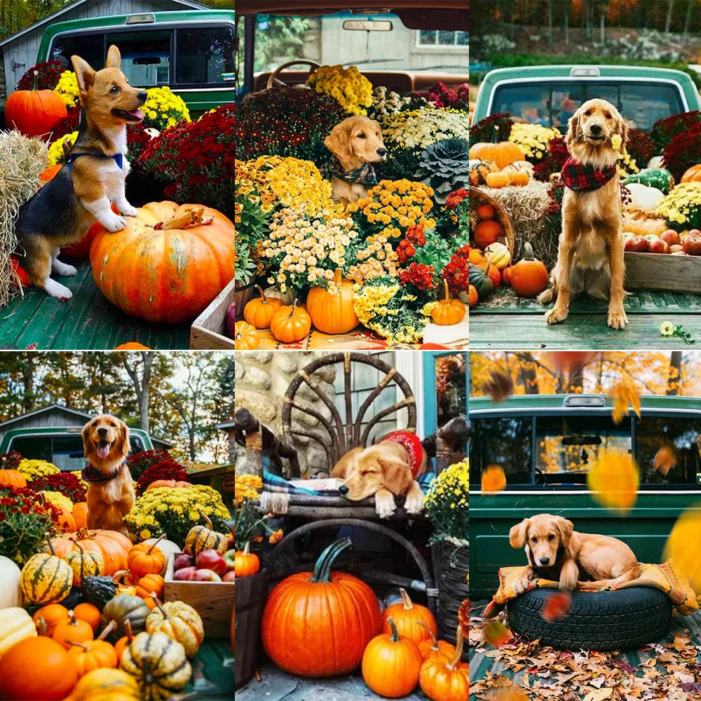 

Full diamond 5D DIY diamond painting flower landscape with dog and pumpkin diamond embroidery mosaic art kit for home decoration