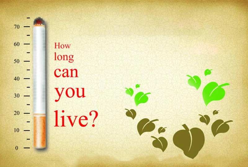 Red leaf Herbal Cigarettes clearing lung to Quit smoking No Nicotine& Tobacco Cigarettes Tea