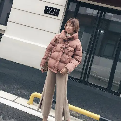 2020 зимнее женское пальто пуховик со стоячим воротником Анорак толстая ветровка