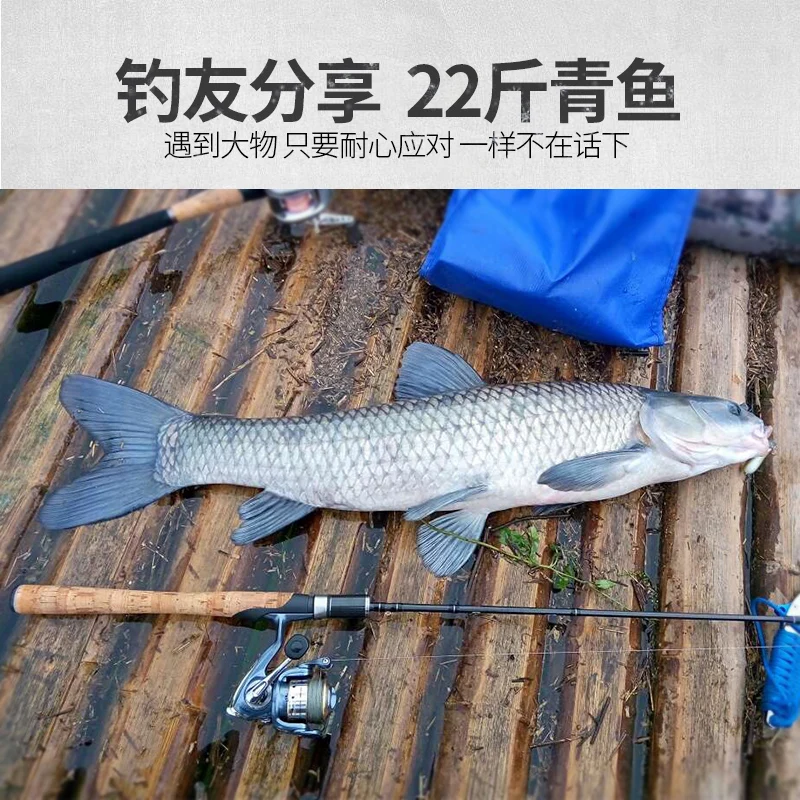 Lurestar Spurs 3 Fishing Rod 63UL Action Fast 2.5 Sections 1.9m Fuji Rings Abs/Fuji Wheel Seat Eva/3A Cork Handle Baitcasting | Спорт и