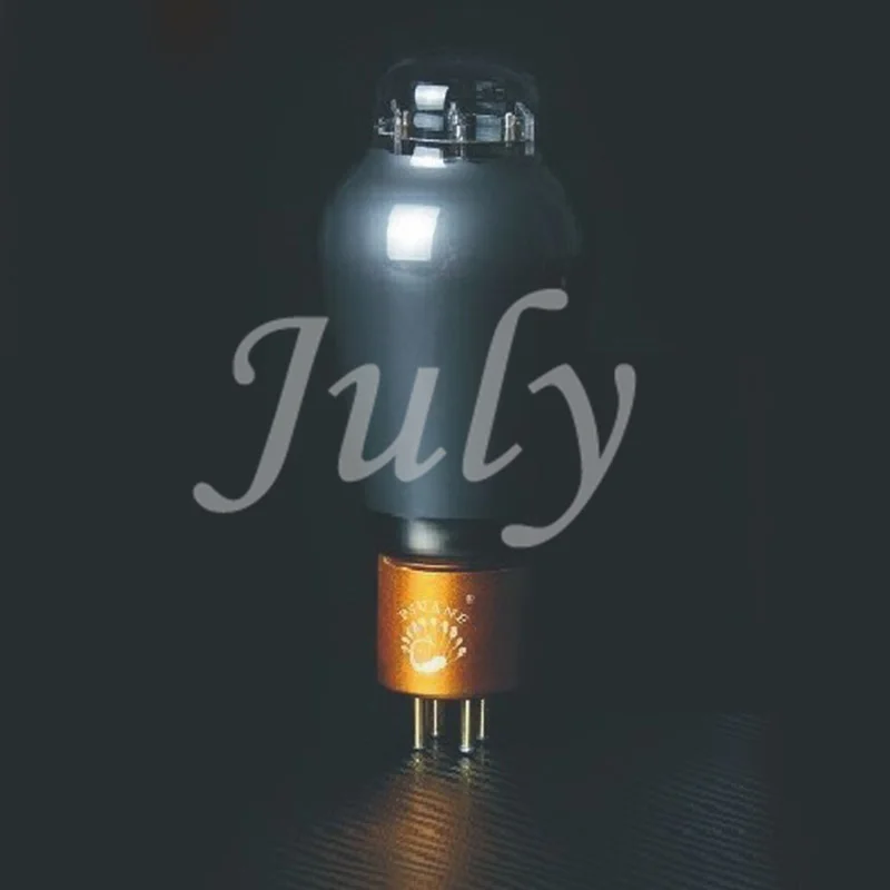 

PSVANE 300B-TII classic tube, can be paired at the factory