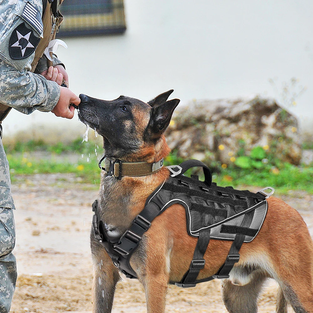 

Военная Тактическая шлейка для собак, прочный нейлоновый жилет для собак с системой «Молле», товары для обучения немецких овчарок и больших...