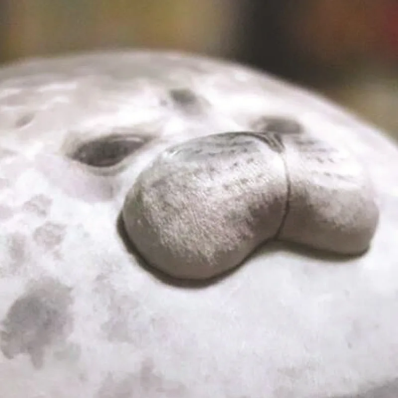 Супер мягкая подушка-тюлень в японском океаническом музее сувенир моделирование