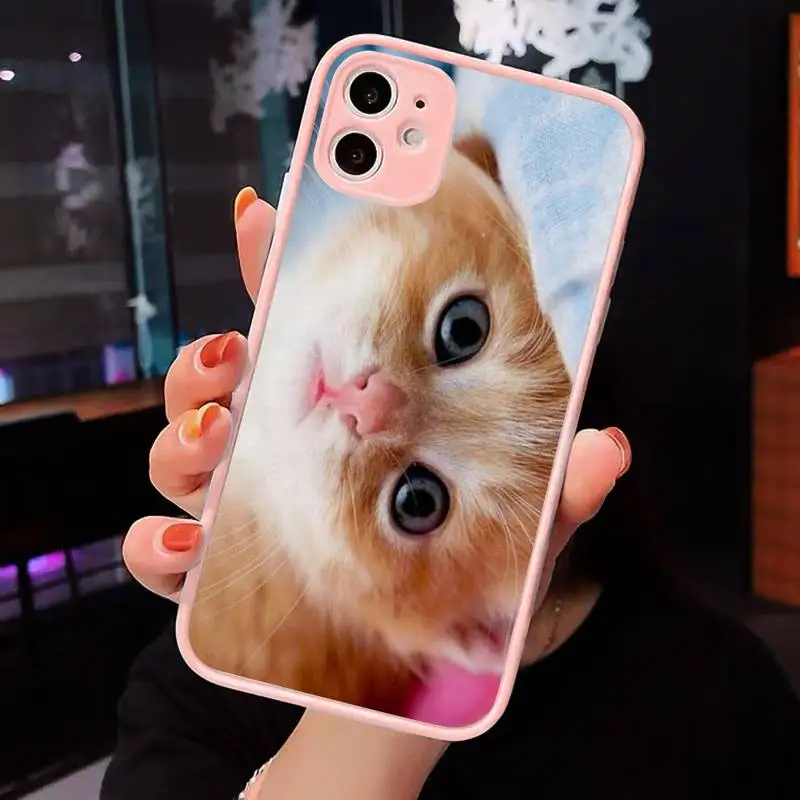 

Lovely animal cat kitten CUTE Phone Case Matte Transparent for iPhone 7 8 11 12 s mini pro X XS XR MAX Plus cover funda