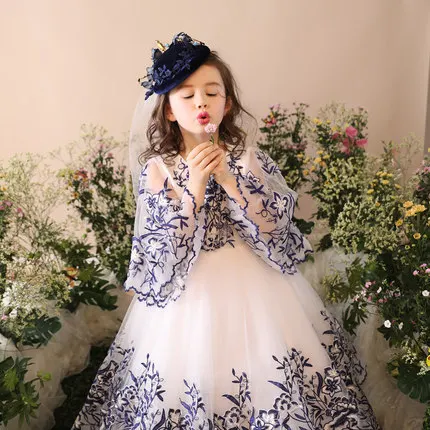 

Chinese Traditional Princess Ball Gown Dresses Sweet Butterfly Sleeve Long Skirt Embroidery Blue And White Porcelain Show Gown