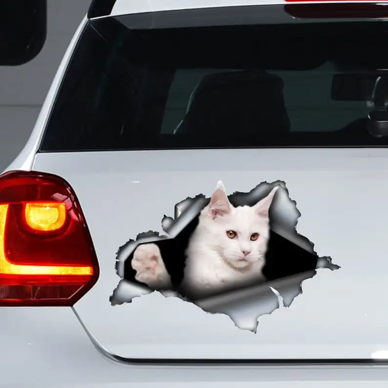 

White Maine Coon car decal, White cat decal, White Maine Coon sticker