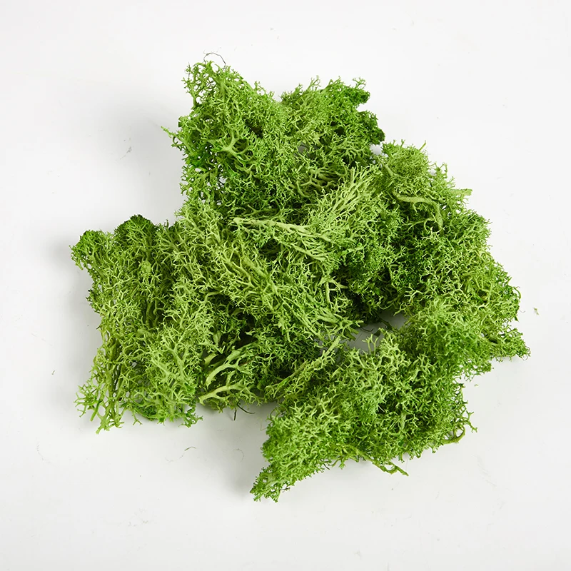 

Artificial Green Plants Eternal Life Moss Grass Home Living Room Garden Decoration Mini Landscape Fake Flower DIY Crafts