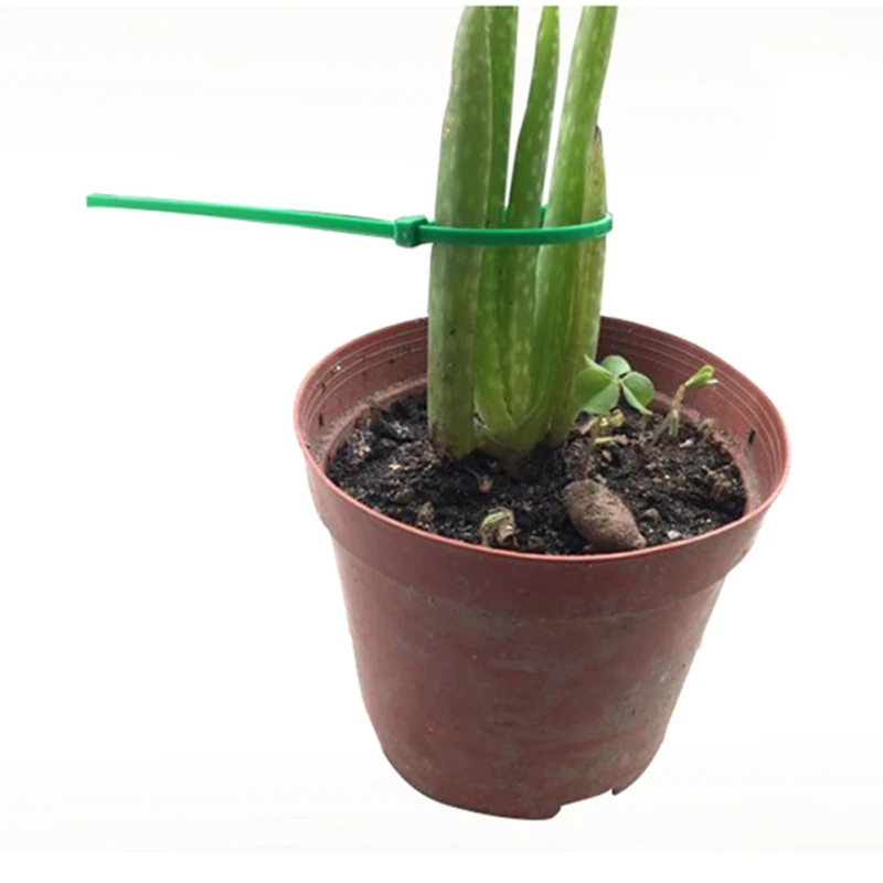 100 шт. нейлоновые кабельные самоблокирующиеся пластиковые стяжки набор застежек