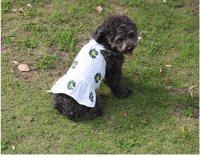 Летнее платье-слинг для собак юбка без рукавов маленьких и средних | Дом сад
