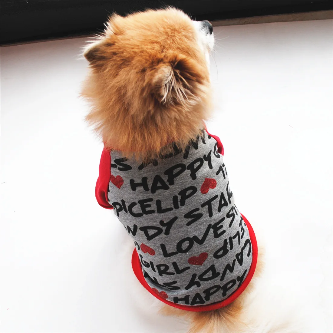 

Fashionable Spring and Autumn Dog Clothes Letter Print Two-legged Sweater Dog Sweater Puppy Sweater Clothes for Pets Schnauzer