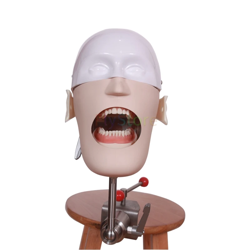 

1pcs Dental manikins Phantom Head Stainless Steel Head Simple simulation head preparation for Dental teaching