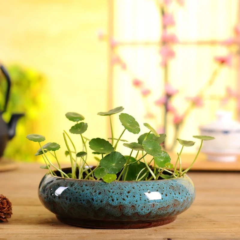 

Creative Sleeping Bowl Lotus Money Grass Hydroponic Plant Potted Personality Fleshy Daffodil Home Decoration Ceramic Flower Pot