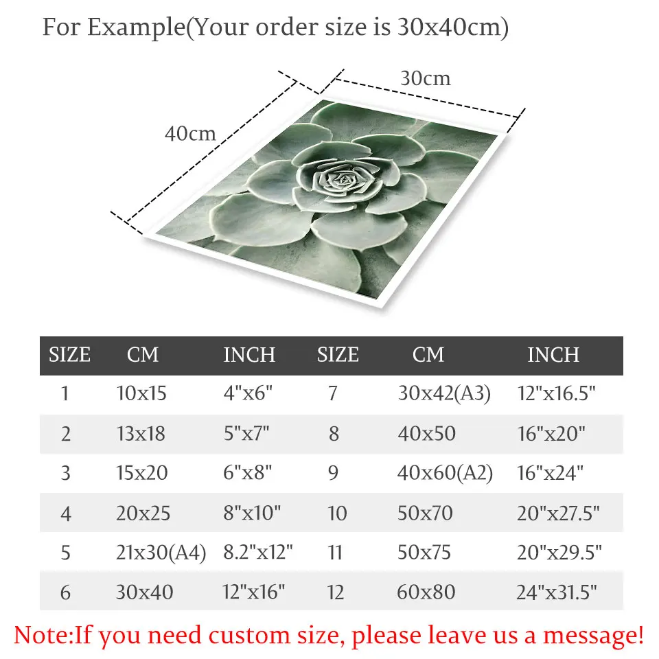 Фотообои с изображением листьев животных цветов холста настенные картины для