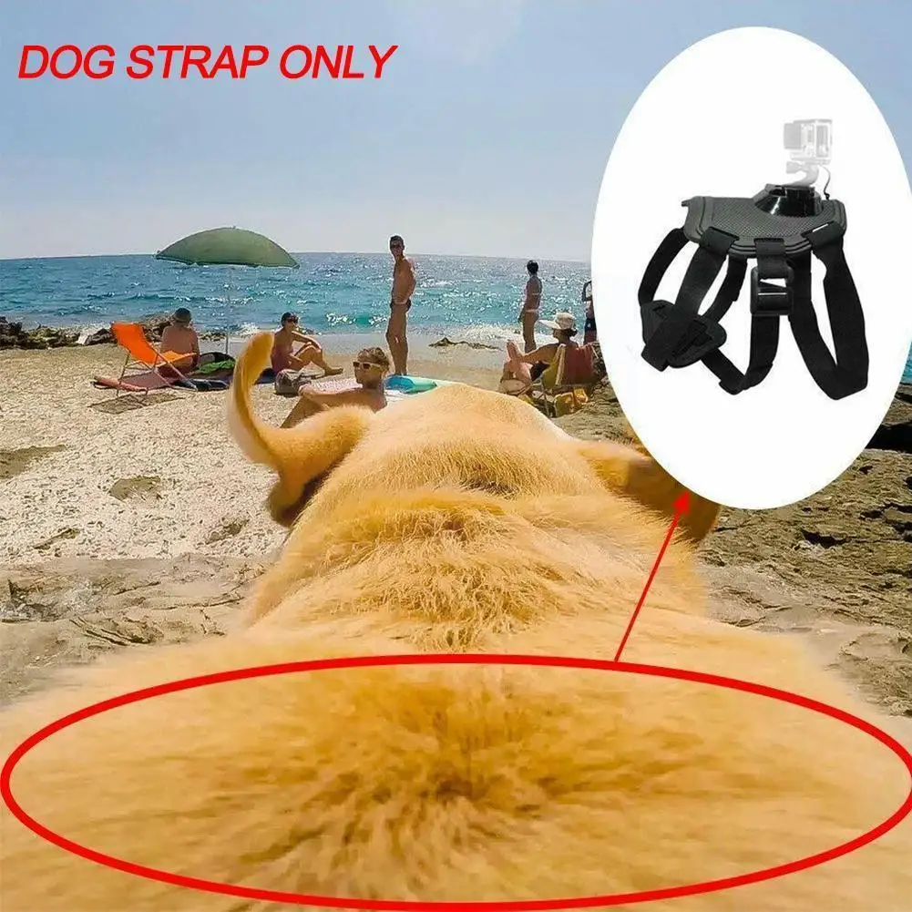 

Pet Fetch Dog Harness Chest Strap For Hero 9 8 7 6 5 4 Session Action Camera Go Pro Accessory X1v6