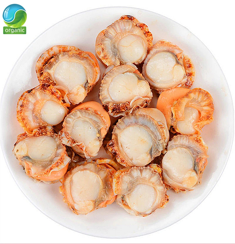 

Dried Scallop;SCALLOPS DRY,fan Shell,Shanbei Wild Scallops,Whole Shellfish,Dried Seafood