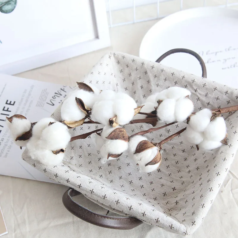 Чистый натуральный высушенный цветок из хлопка ствол фермерского дома