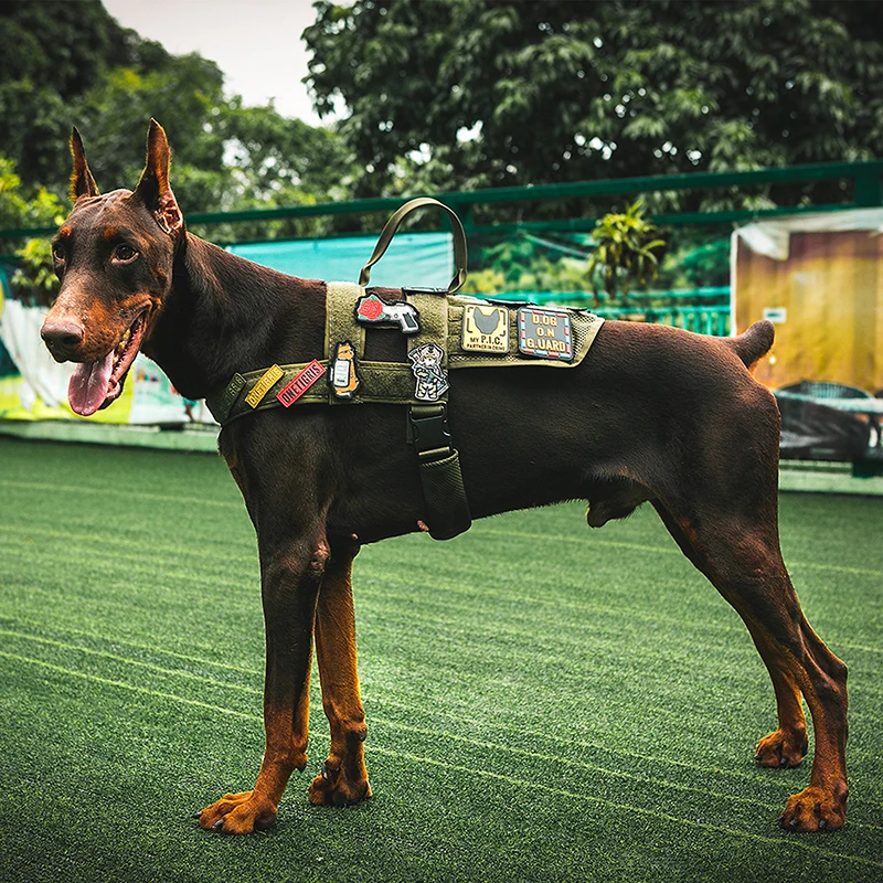 Жилет OneTigris K9 для собак тренировочный жилет собак|Охотничьи жилеты| |