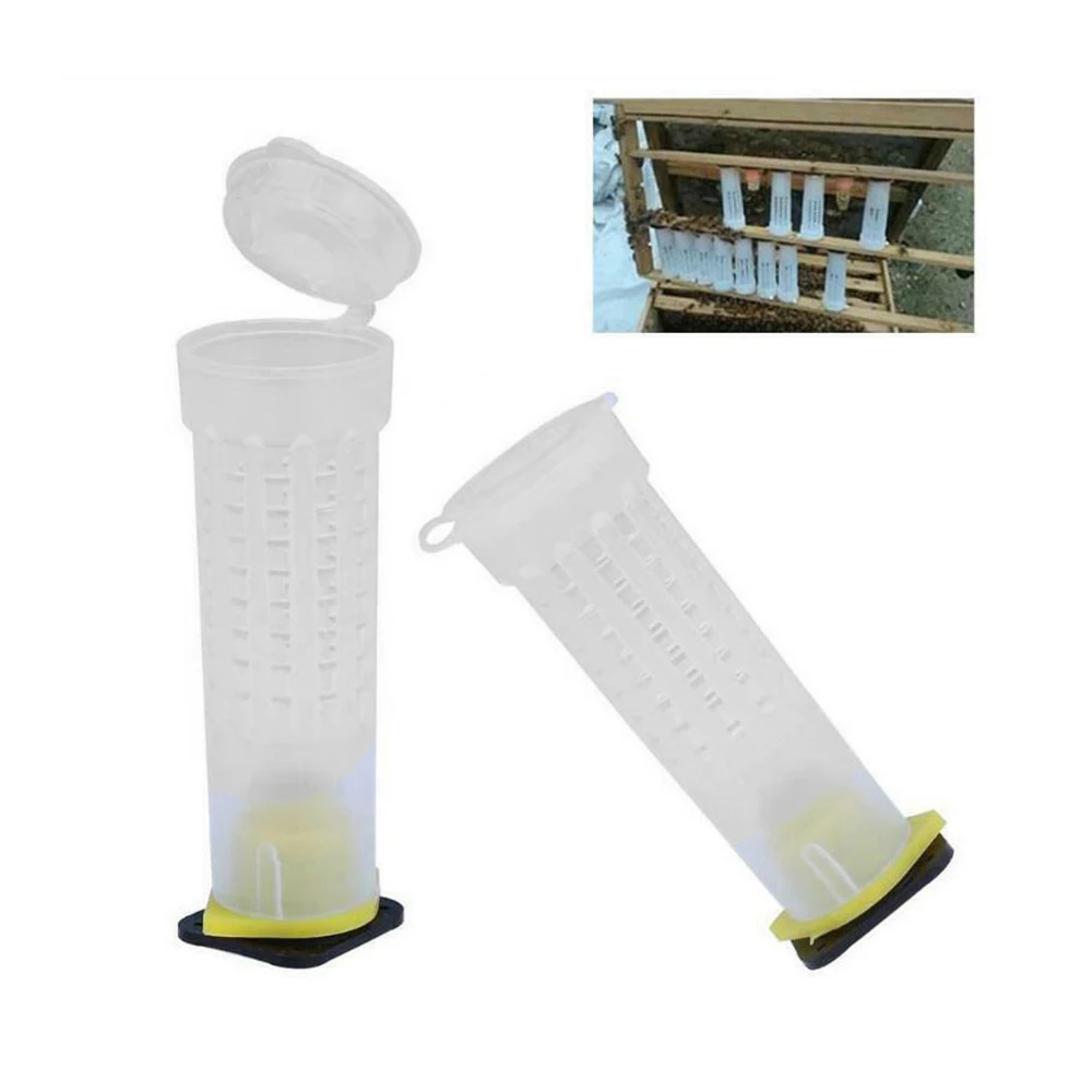 

1 Set Bees Tools Cages King Queen Rearing Cupkit System Bee Beekeeping Catcher Box Cell Cups Cage Nicot Complete Kit