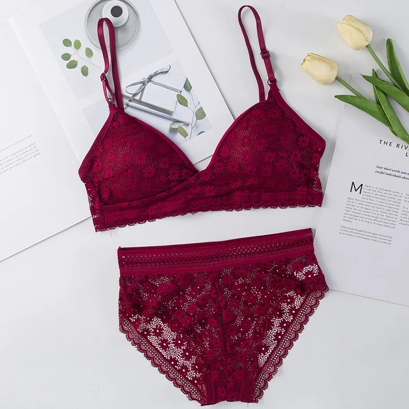 

Lace Bra Set Female Embroidery Lingerie Set Transparent Women Underwear Set Female Brassiere Push-up Bra and Panty Sets