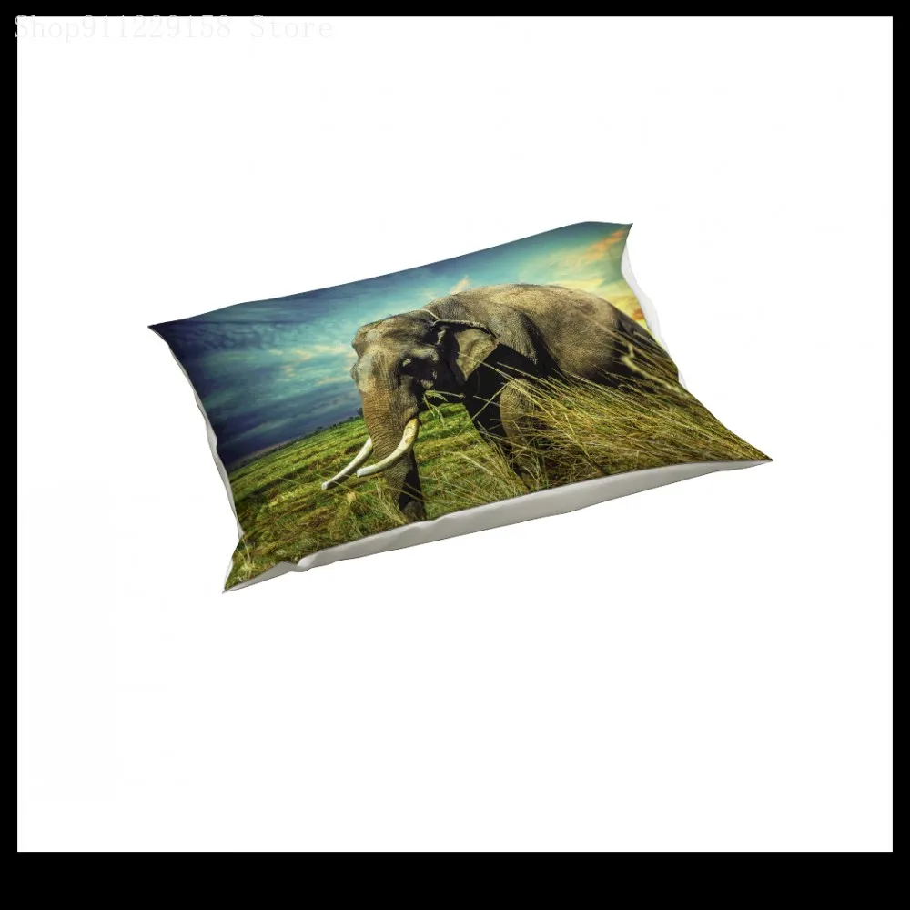 

3D Printing Elephant Pattern Animation Bedding Quilt Cover Super Comfortable Bed Cover Cover 200*200 Size Bedroom cover Duvet Co