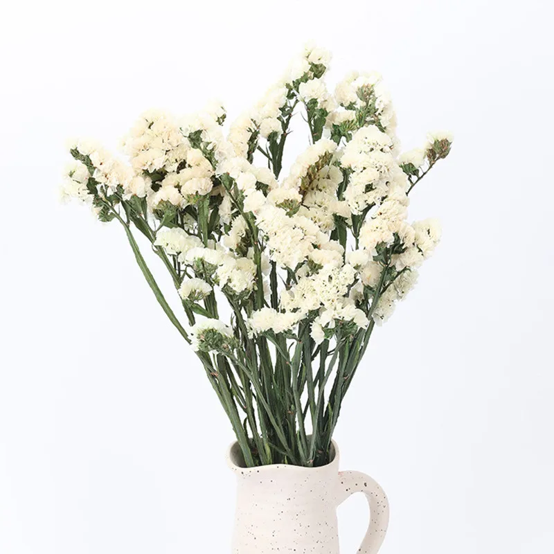 

Preserved Fresh Flower Dried Bouquet Myosotis Sylvatica For Friends/Valentine's/Wedding/Home Display/DIY/Festival Party