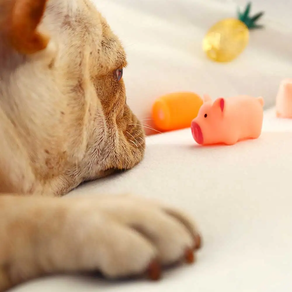 Rubber Dog Toy with Thorn Bone Rubber Molar Teeth Pet Product Pet Toy Dog Bite Resistant Molar Training Drop Ship