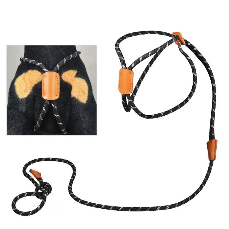 

NEW Reflective Braided Nylon Rope Tracking Dog Leash Adjustable Pet Nylon Leash for Small Medium Large Extra Heavy Dogs HFing