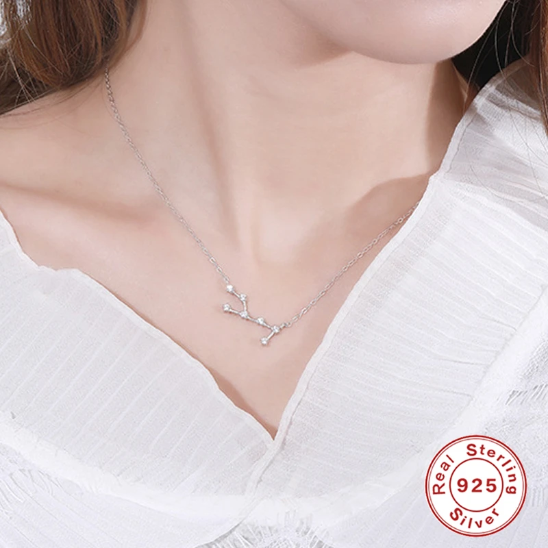 

CANNER Real 925 Sterling Silver Female Elegant 12 Constellation Necklaces Pendant Charm Chain Choker Necklace for Women Jewelry