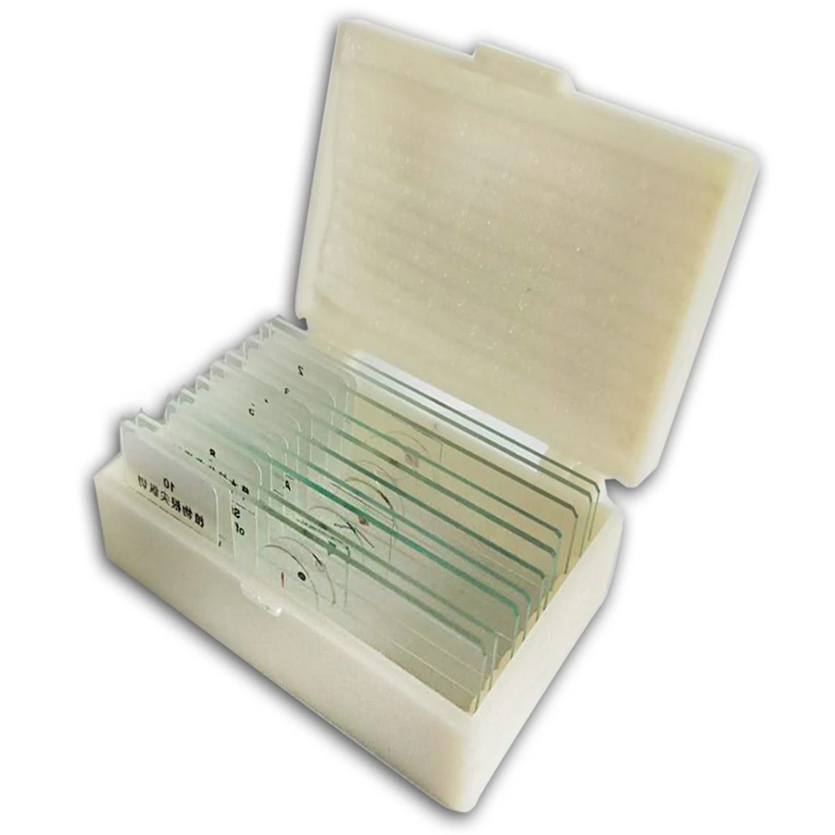 Набор предметных стекол для микроскопа Histology слайды подготовленные 10 шт. |