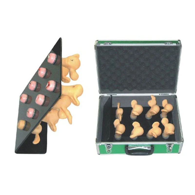 Симулятор матки и шейный модель поражения медицинская демонстрация обучения