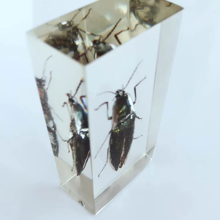 Эратер от насекомых встроенные образцы прозрачный эратер из полимера образец