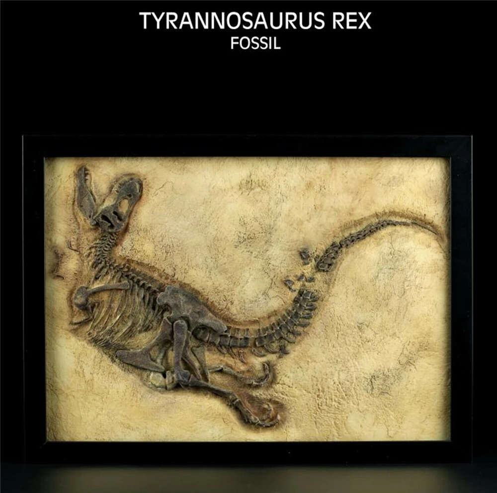 

Vitae Tyrannosaurus Rex T-Rex Fossil Photo Frame Dinosaur Toys Animal Collector Decoration Adults Gift