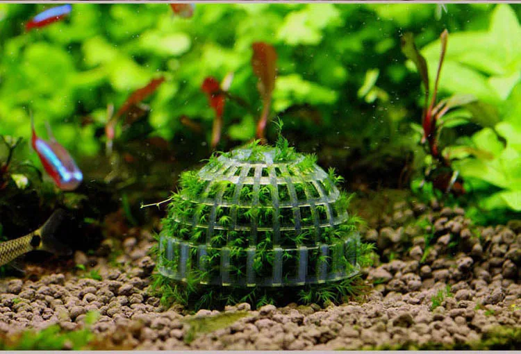 1 шт. пластмассовое украшение для аквариума живые растения аквариумное средство