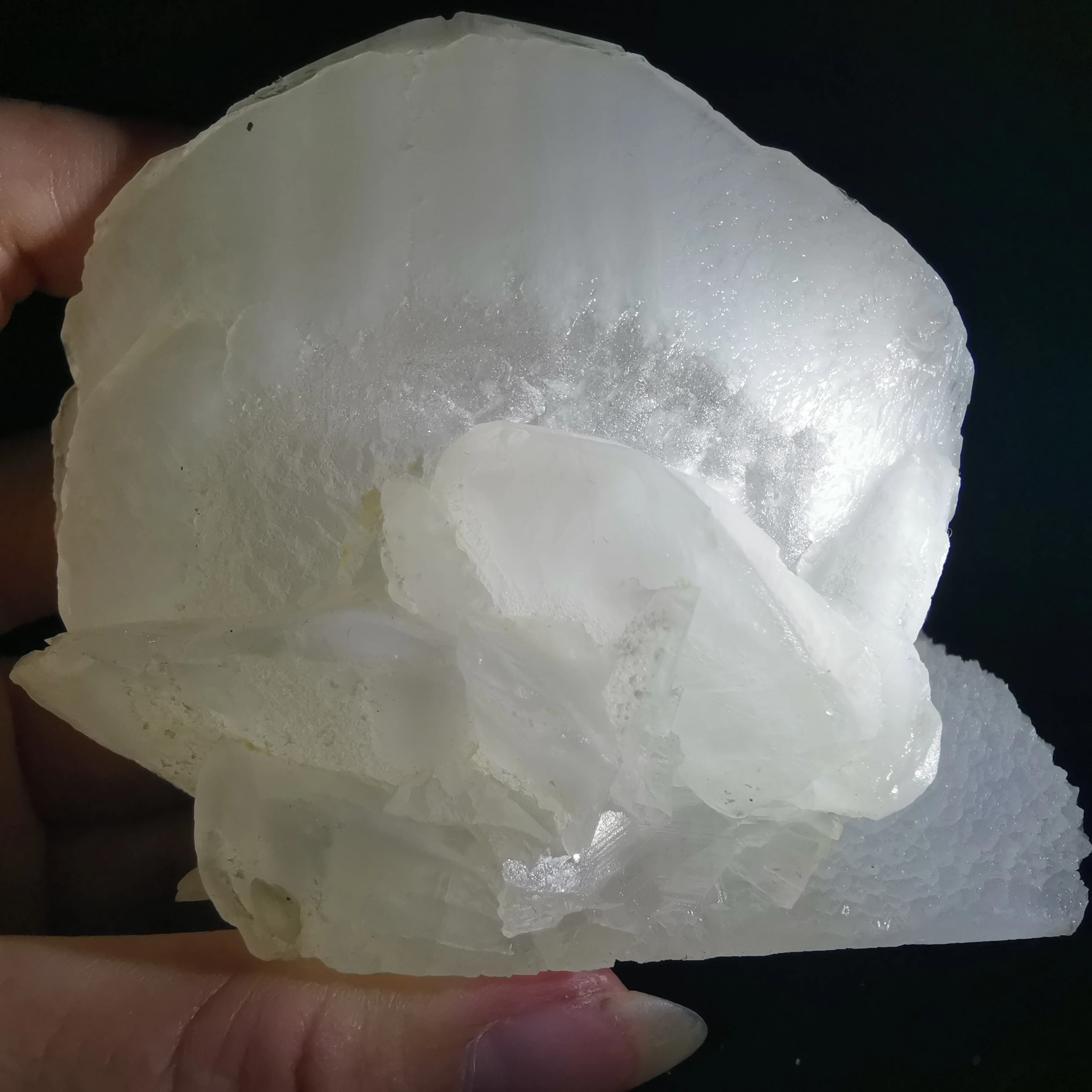 

367.3g100% natural calcite shell mineral crystal specimen stone and CRYSTAL HEALING CRYSTAL QUARTZ GEM