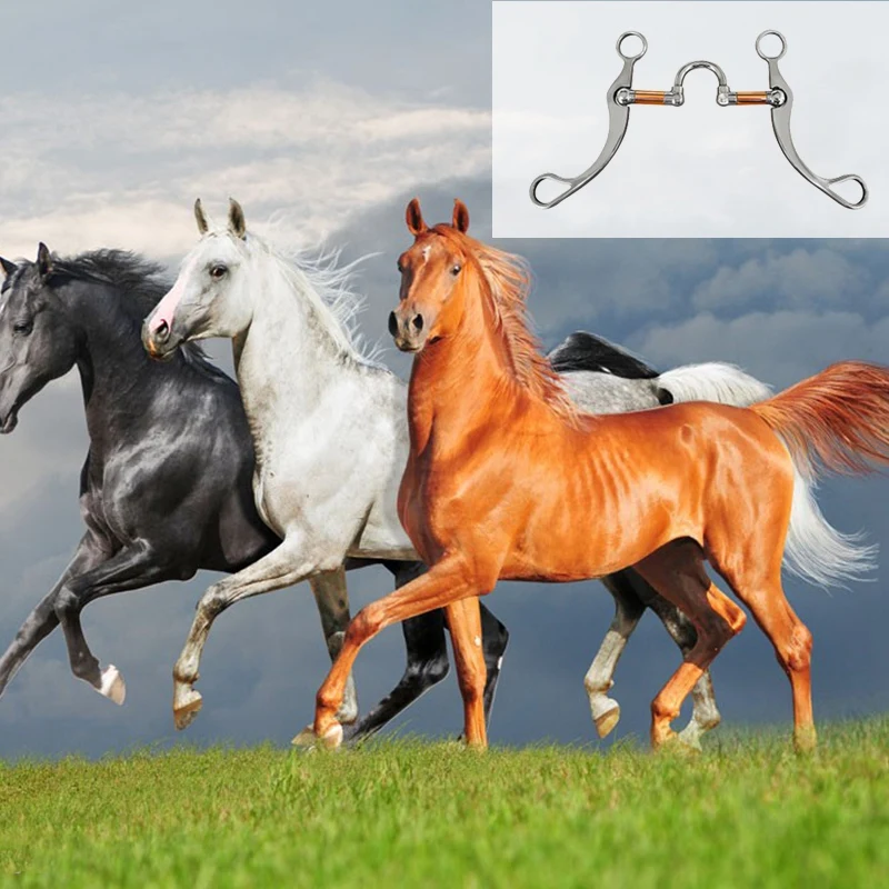 

Hot Stainless Steel Snaffle Bit Horse Bits Western Snaffle Bits for Horses Coronet Mouth Training Bit with Copper Port
