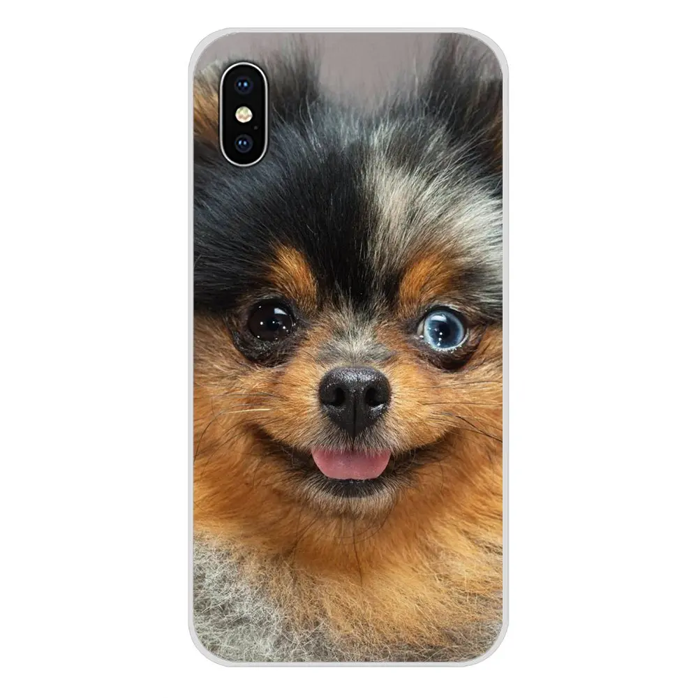 Чехол для телефона Samsung A10 A30 A40 A50 A60 A70 Galaxy S2 Note 2 3 Grand Core Prime Bernese Mountain Dog щенок |