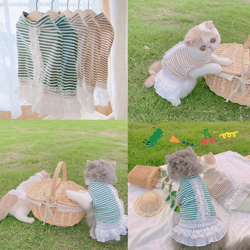

Cat Dress Dog Lace Skirt Puppy Apparel Small Dog Clothes Yorkshire Pomeranian maltese Bichon Poodle Schnauzer Corgi Clothing New