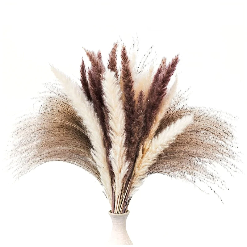 

60Pcs Dried Pampas Grass Decor 17 Inch Natural Pampas Floral/ Dried Pampas Grass for Flower Arrangements Wedding Decor