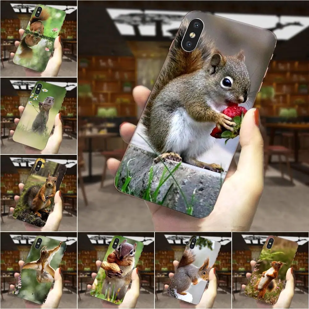 Чехол для мобильного телефона из ТПУ с изображением белки морской свинки мышки