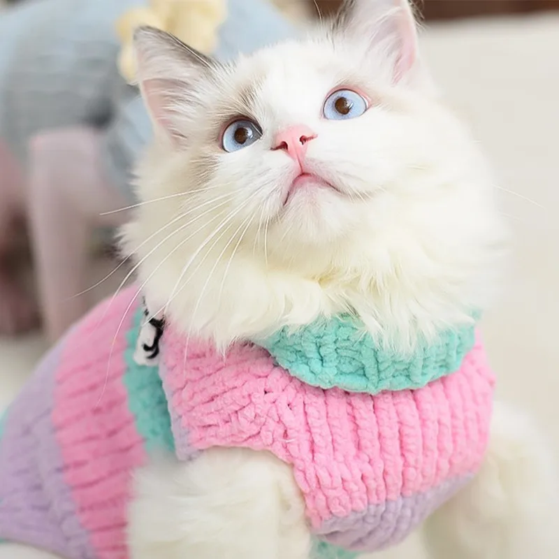 Pаспродажа Новинка осенне-зимняя одежда для кошек Sphynx теплый синий жилет для кошек без волос классическая одежда для щенков свитер для домашних животн...