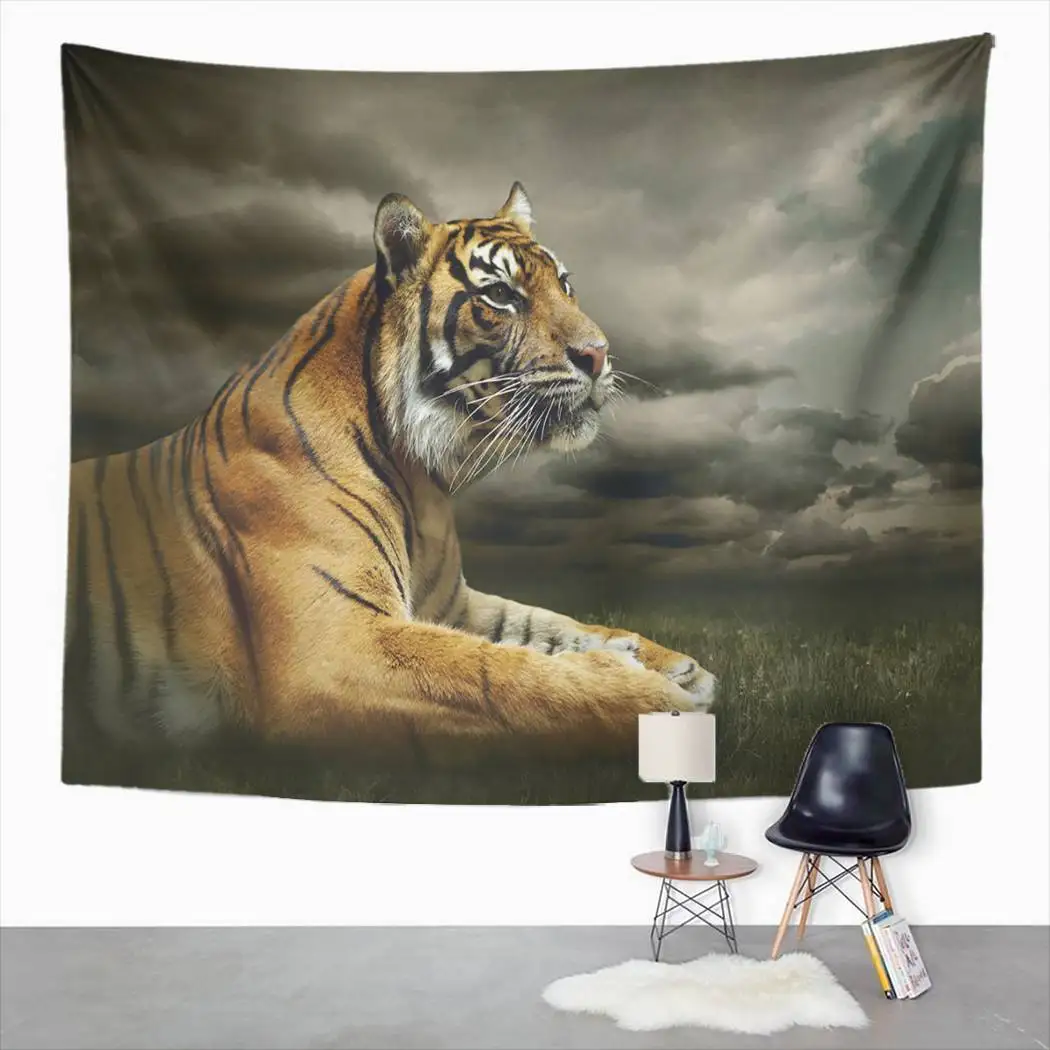 

Striped Tapestry Tiger Black Sky Tapestry For Bedroom Room Decor Wall Hanging Wall Art Tapestry Picnic Mat Beach Towel Bed Cover