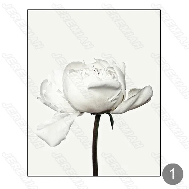 

White rose lotus lotus leaf landscape poster nordic style wall art canvas print painting modern living room decoration