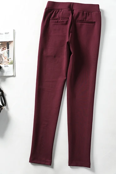 

Trousers Women Autumn/Winter New Fashion Stretch Leisure Elastic Waist Simple Fashion Purple Pencil Pants For Women