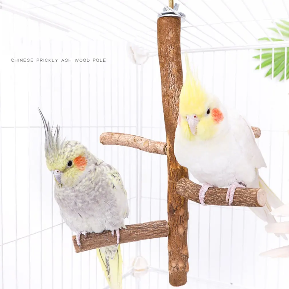 

Hot Bird Toys Natural Wild Prickly Pear Tree Stick For Myna Thrush Parrot Bird Standing Stick Perching Stick Birds Accessoires