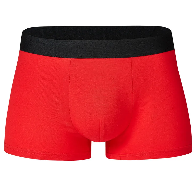 6Pcs Fashion  Brand Boxer Men U Convex Design Gay Cuecas Panties Comfortable Cotton Sexy Men Underwear Short Underpant