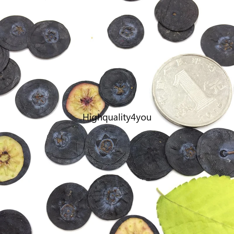 Высушенные прессованные фрукты черники 1 см 10 шт. фоторамка для ювелирных изделий