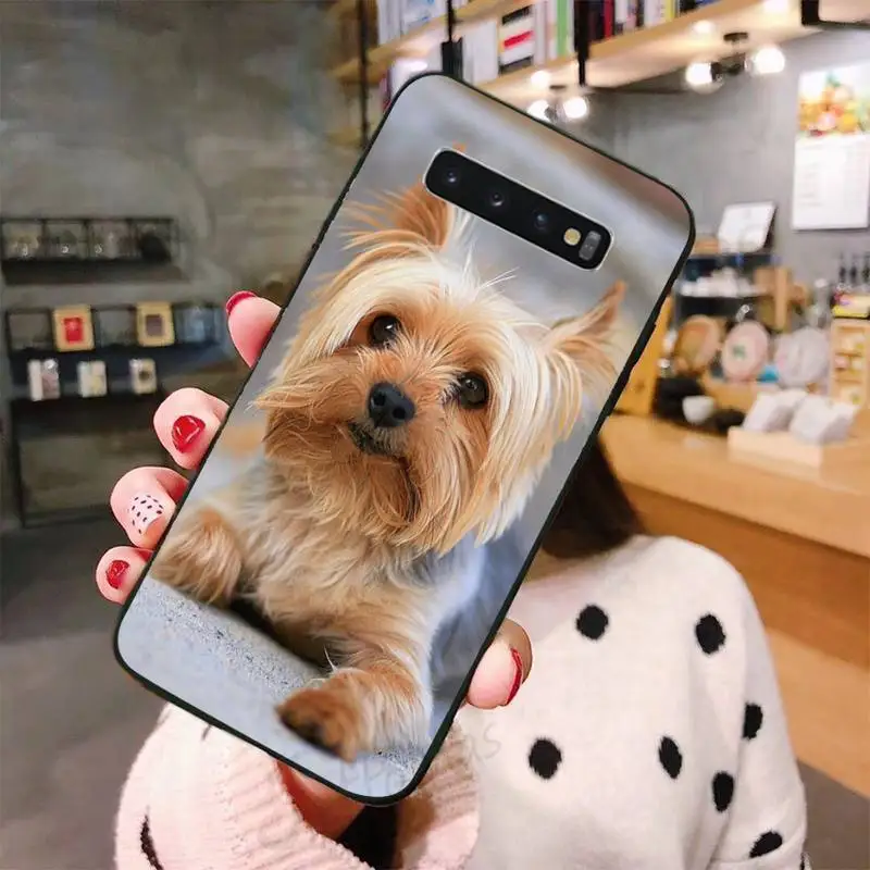 

Cute Yorkshire Terrier dog Phone Case For Samsung Galaxy S5 S6 S7 S8 S9 S10 S10e S20 edge plus lite
