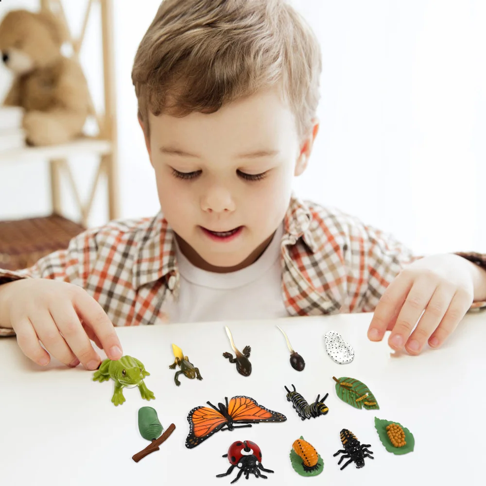

NUOBESTY 3 Sets Insect Educational Figures Life Cycle Figures Biology Science Toys for Children