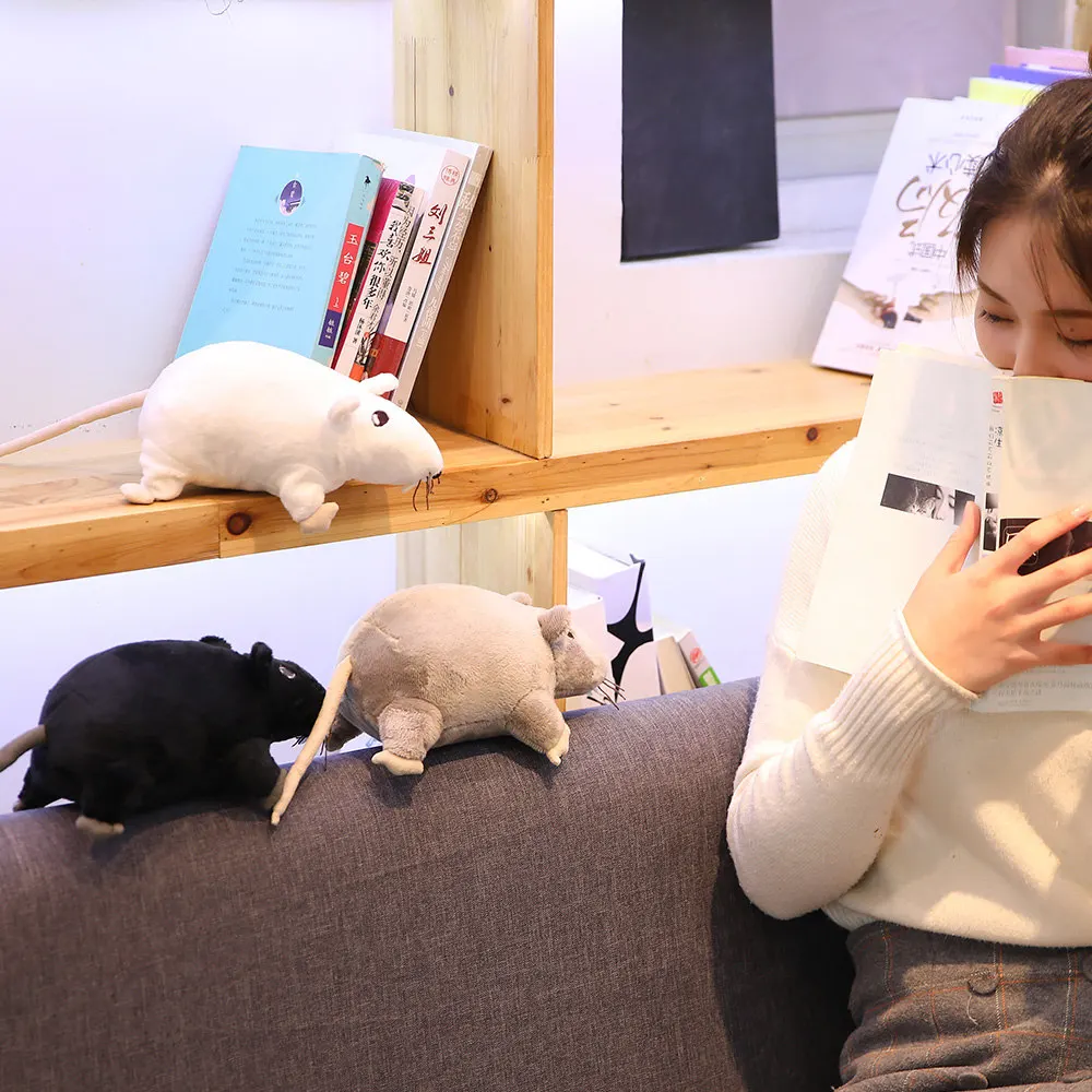 

Stuffed Animals & Plush